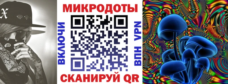хочу наркоту  Орехово-Зуево  Галлюциногенные грибы Psilocybine cubensis 